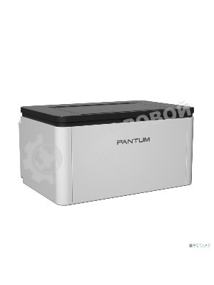 Принтер лазерный черно-белый (монохромный) Pantum BP1800, A4, 18 стр/мин, USB 2.0, белый BP1800