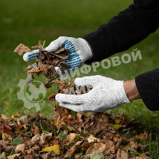 Перчатки трикотажные, с ПВХ Протектор, 32 г, 10 класс, 10 пар/уп
