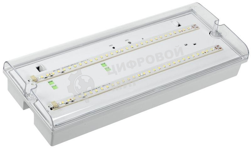 Светильник ДПА 5042-3 аккумулятор 3ч IP65 аварийный универс. подкл. IEK LDPA0-5042-3-65-K01