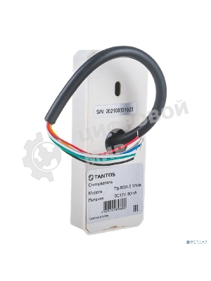 Считыватель карт Tantos TS-RDR-E внутренний/уличный антивандальный