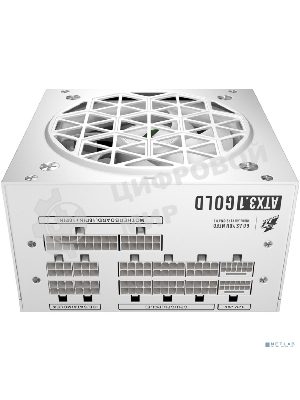 Блок питания 1STPLAYER NGDP GOLD 750W White, ATX 3.1, APFC, 80 PLUS Gold, LLC+DC-DC, full Japan solid-state caps, 120мм fan, full modular, HA-750BA4-WH