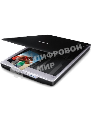 Сканер Epson Perfection V19, планшетный, A4, CIS, 4800x4800 dpi, USB 2.0