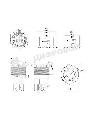 Кнопка антивандальная Rexant Ø19 12В Фикс (5с) ON-OFF/OFF-ON подсв/зеленая