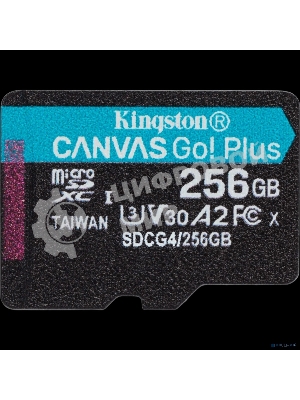 Флеш карта microSDXC 256Gb Kingston SDCG4/256GbSP Canvas Go! Plus V10 A2 w/o adapter