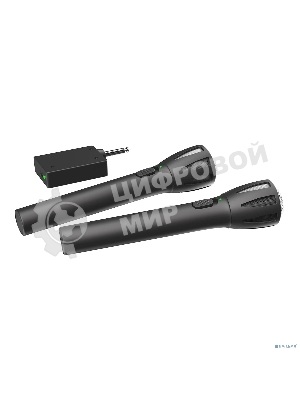 Микрофон Ritmix RWM-302 черный