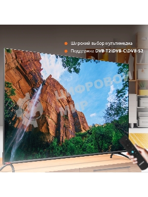 Телевизор SunWind 55