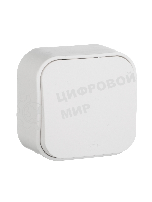 Переключатель 10A одноклавишный (белый) Legrand 782204