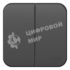 Выключатель 2-кл. ОП Blanca (сх.5) 10А 250 В изол. пласт. антрацит SchE BLNVA105016