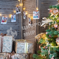 Деревянные прищепки Neon-night 