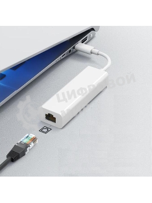 Адаптер GoPower Type-C (m)-RJ-45 (f) 100 мб/с белый (1/100)