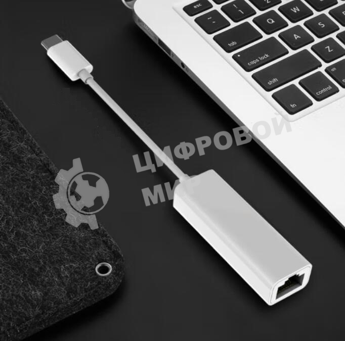 Адаптер GoPower Type-C (m)-RJ-45 (f) 100 мб/с белый (1/100)