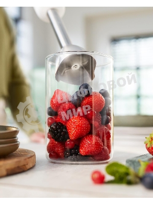 Блендер погружной Philips HR2534/00