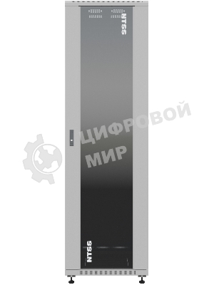 Шкаф серверный NTSS Премиум (NTSS-R42U6080GS) напольный 42U 600x800мм пер.дв.стекл металл 900кг серый IP20 сталь