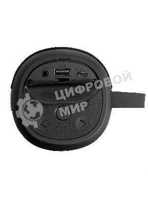 Караоке-система ExeGate Bro 310 Bluetooth черный