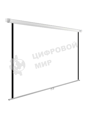 Экран Cactus 200x200 см WallExpert CS-PSWE-200x200-WT 1:1 настенно-потолочный рулонный