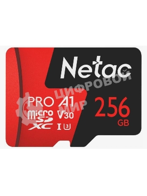 Флеш карта NeTac Карта памяти Netac MicroSD P500 Extreme Pro 256Gb, Retail version card only