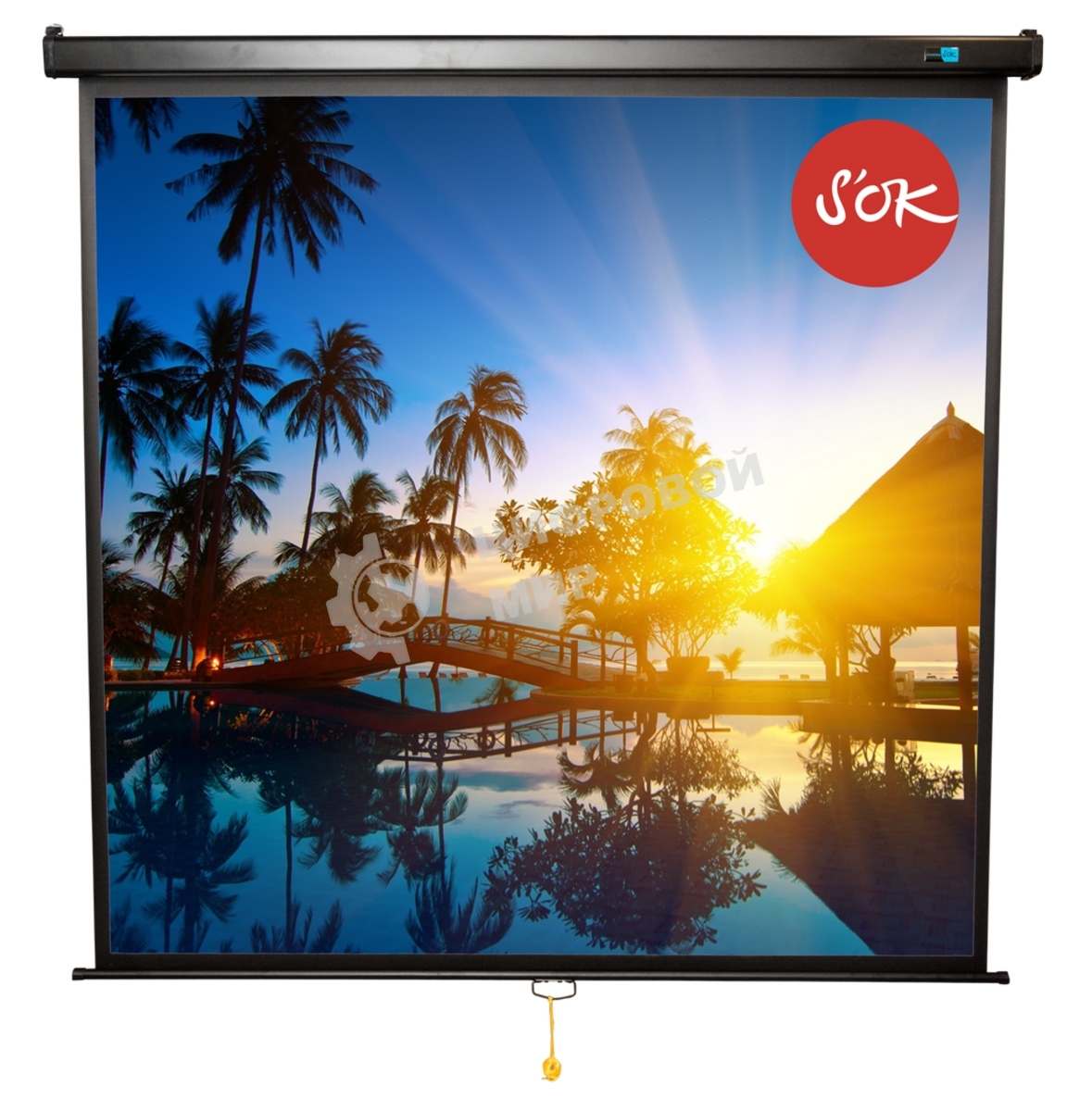 Экран 200x200см Wallscreen 1:1 настенно-потолочный рулонный белый111' Matt White (MW), черный корпус