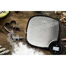 Кухонные весы CASO Kitchen EcoMaster