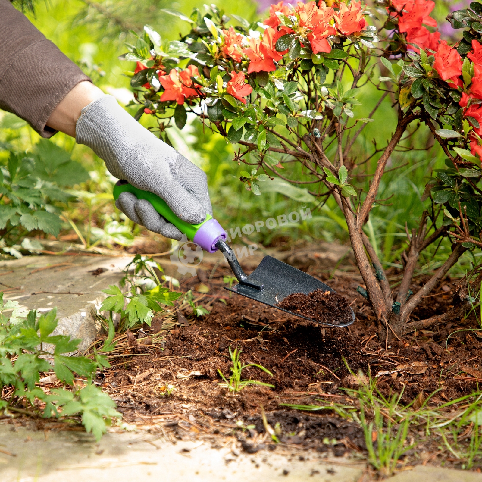 Совок посадочный узкий Palisad ERA 65х300 мм, стальной, обрезиненная эргономичная рукоятка