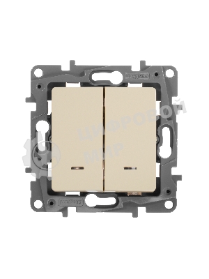 Выключатель 2-клавишный с подсветкой, на винтах, 10АХ, сл. кость