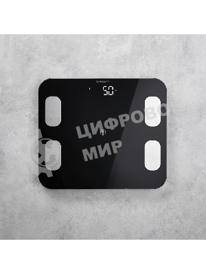 Весы Scarlett SC-BS33ED46 (черный)