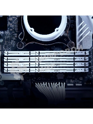 Оперативная память Kingston Fury Beast, DDR5, 16Gb (1x16Gb), 6000MHz, CL36, DIMM, с радиатором, белый