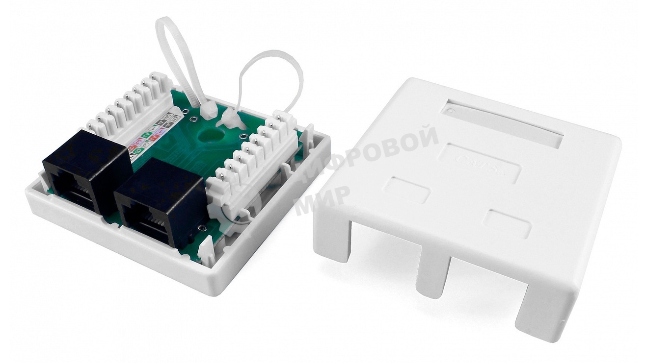 Розетка компьютерная RJ-45(8P8C) Hyperline, категория 5e, двойная, внешняя, Dual IDC