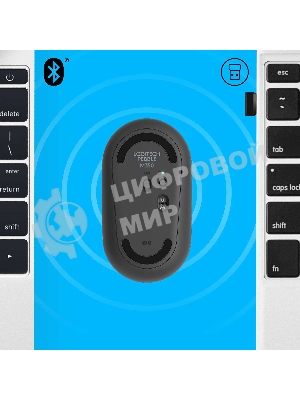 Мышь беспроводная Logitech Pebble M350 графитовый, 1000 dpi, радиоканал, Bluetooth, USB, кнопки - 3
