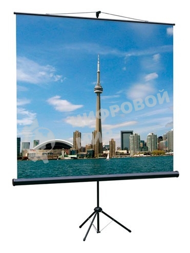 Экран на треноге Lumien 150x150 см Eco View LEV-100101 1:1 напольный рулонный