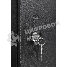 Шкаф телекоммуникационный настенный разборный ЦМО ЭКОНОМ 9U (600 x 350) дверь металл, черный (ШРН-Э-9.350.1-9005)