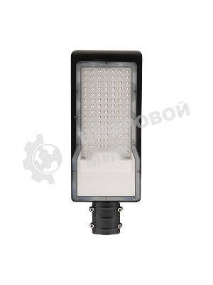 Светильник светодиодный консольный Rexant ДКУ 02-100-5000К-Ш асимметричный IP65 черный