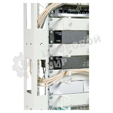 Стойка двухрамная ЦМО СТК-24.2 24U 620 мм X 800 мм направл. закл. гайки 250 кг серый