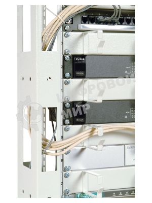 Стойка двухрамная ЦМО СТК-24.2 24U 620 мм X 800 мм направл. закл. гайки 250 кг серый