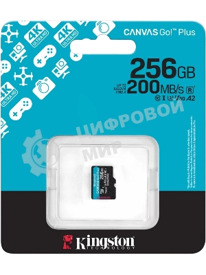 Флеш карта microSDXC 256Gb Kingston SDCG4/256GbSP Canvas Go! Plus V10 A2 w/o adapter