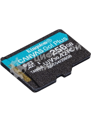 Флеш карта microSDXC 256Gb Kingston SDCG4/256GbSP Canvas Go! Plus V10 A2 w/o adapter