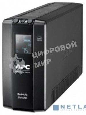 Источник бесперебойного питания APC Back-UPS Pro BR 650VA/390W