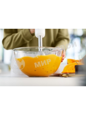 Блендер погружной Philips HR2545/00 белый