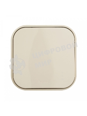 Выключатель 10A 1-клав., сл. кость Quteo