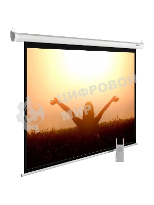 Экран Cactus 165x220 см MotoExpert CS-PSME-220x165-WT 4:3 настенно-потолочный рулонный белый (моторизованный привод)