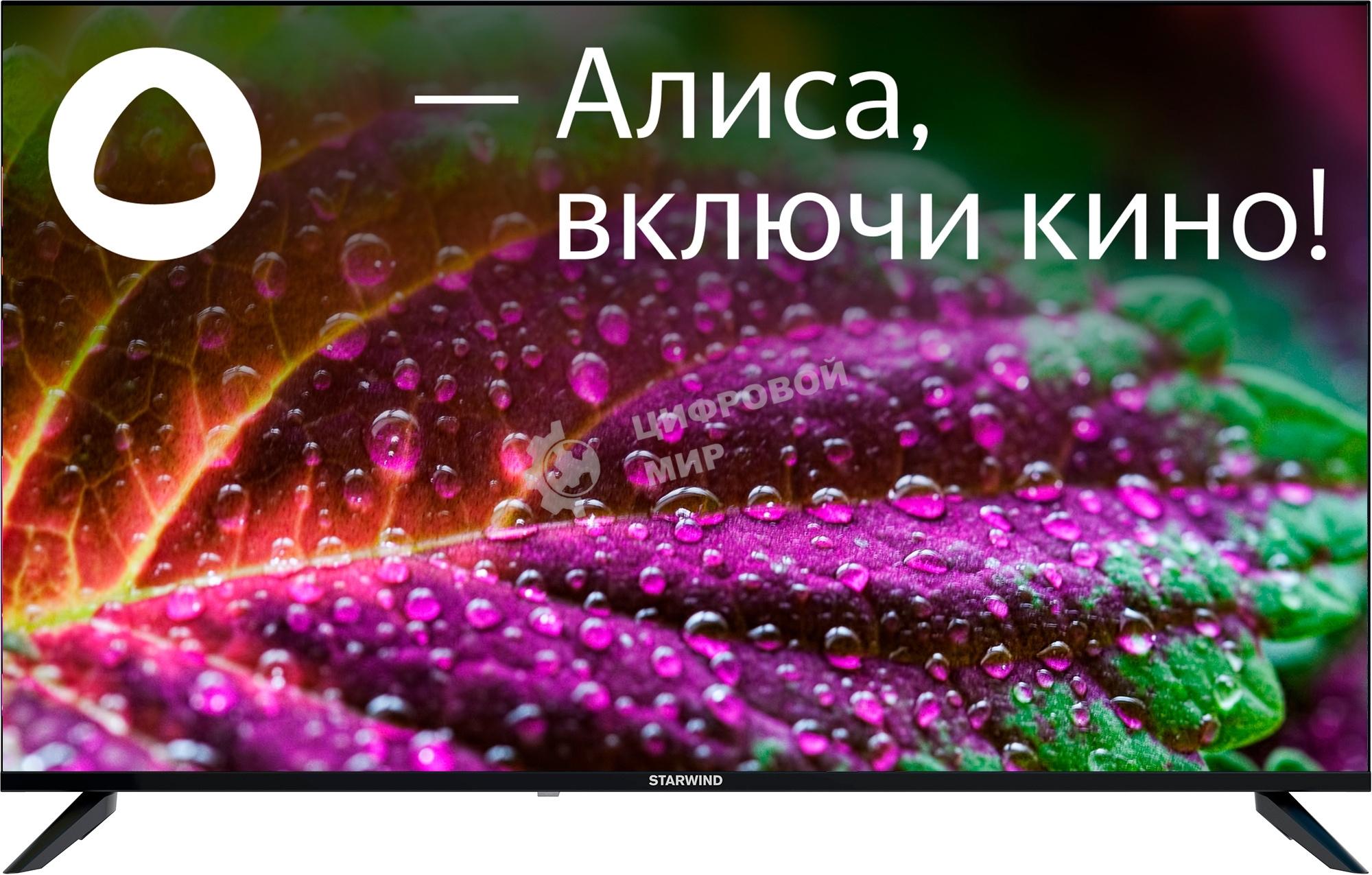 Телевизор Starwind 50