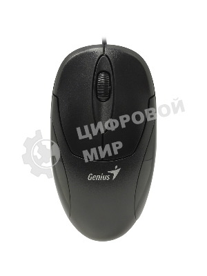 Мышь проводная Genius XScroll V3 черный, 1000 dpi, USB, кнопки - 3
