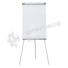 Флипчарт Cactus CS-FCT-W67x105 меламиновая 67x105 см на треноге