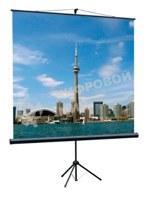 Экран на треноге Lumien 160x160см Eco View LEV-100105 1:1 напольный рулонный