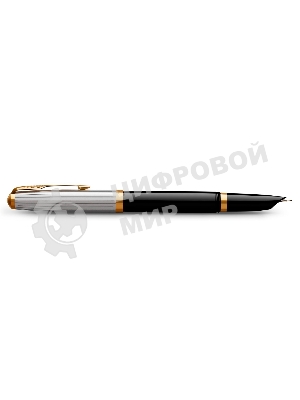 Ручка перьевая Parker 51 Premium (CW2169030) Black St.Steel GT, F, сталь нержавеющая, подарочная коробка