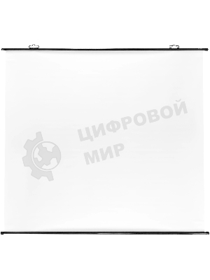 Экран Cactus 150x150 см Map type CS-PSRM-150x150-BK 1:1 настенно-потолочный рулонный черный