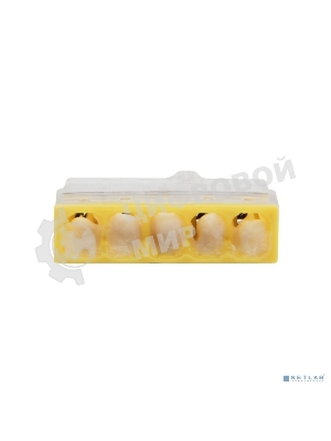 Экспресс-клемма с пастой Rexant СМК 2273-245, 5-проводная 0.5-2.5 мм², прозрачная, блистер (6 шт./уп.)