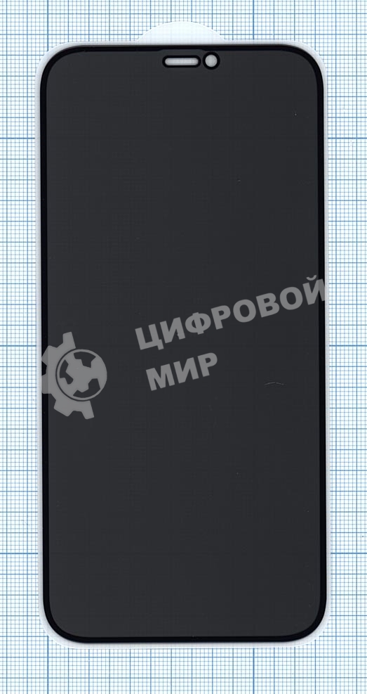 Защитное стекло Privacy 