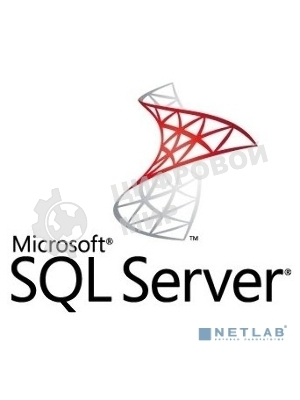 Операционная система лицензия Microsoft SQL Server Standard Edition 2019 English DVD 10 CAL (228-11548)