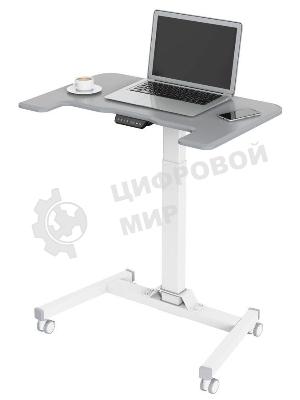 Стол для ноутбука Cactus VM-FDE101 столешница МДФ серый 80x60x123см (CS-FDE101WGY)