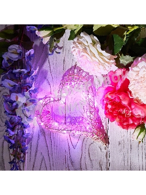 Новогодние светоукрашения Neon-night гирлянда светодиодная 